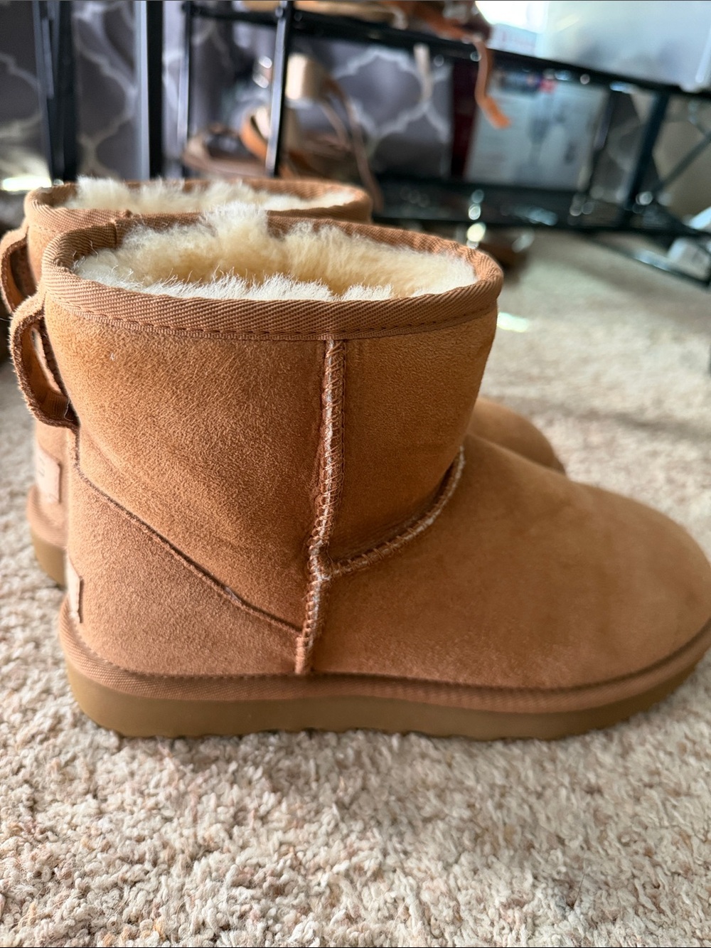 UGG Classic Mini ii Short Shearling Boot in Chestnut 7 - Picture 2 of 8